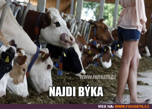 Príspevok 108950