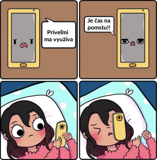 Príspevok 113271