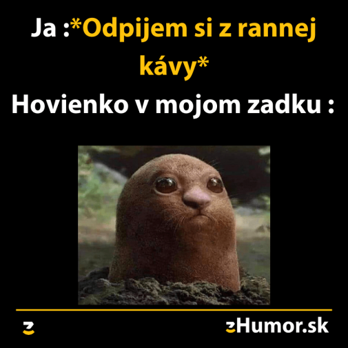 Príspevok 116051