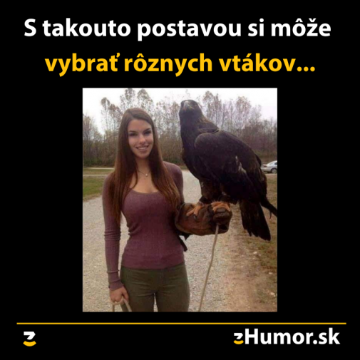 Príspevok 126431
