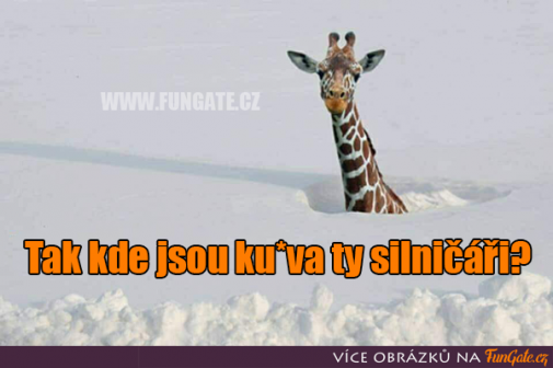 Príspevok 127231