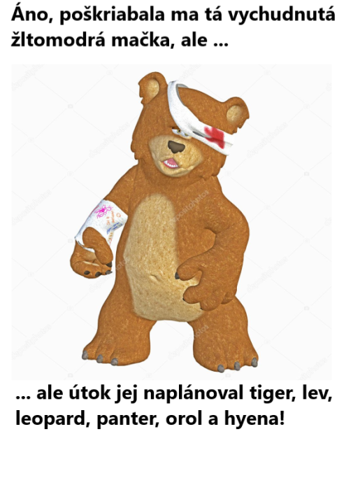 Hm... chudák macík!