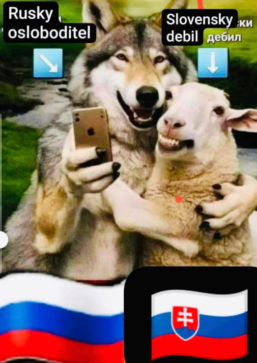 Kokoltove selfie
