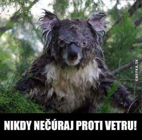 Príspevok 109783