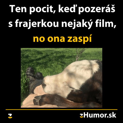 Príspevok 117113