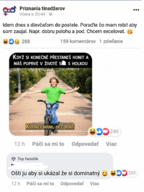 Príspevok 121713