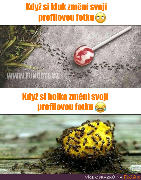 Príspevok 124303