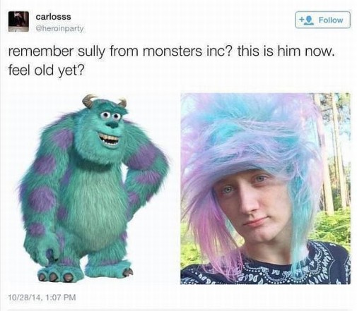 Sully