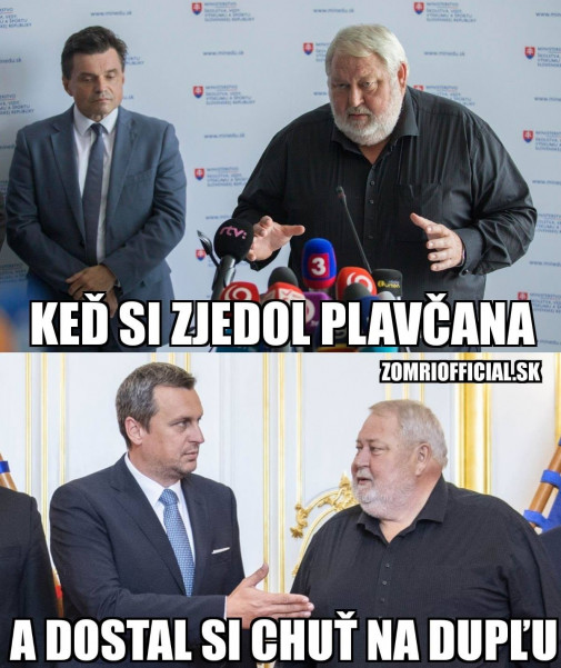 Príspevok 106614