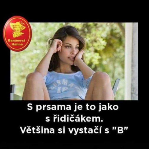 Príspevok 109274