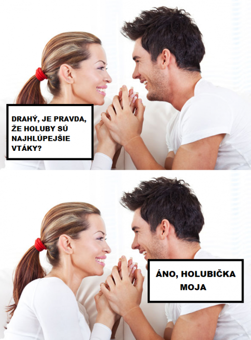 Príspevok 121714