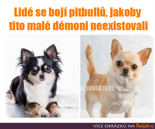 Príspevok 125334