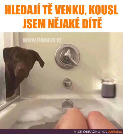 Príspevok 126524
