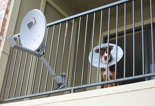 Satelit