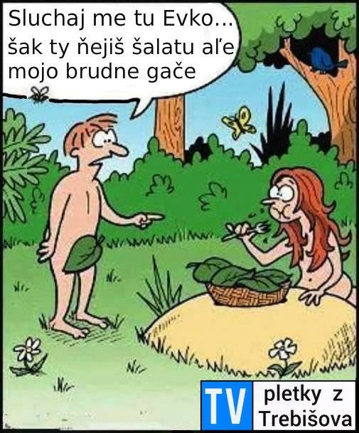 Príspevok 87274