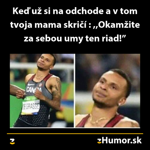 Príspevok 113495