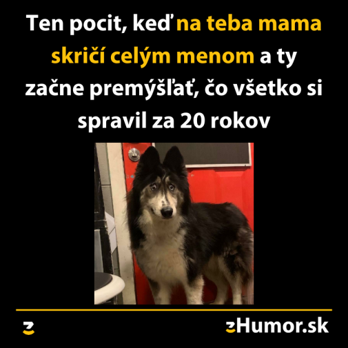 Príspevok 116815
