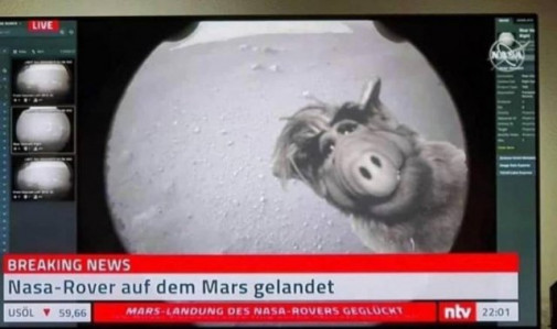 Príspevok 128035