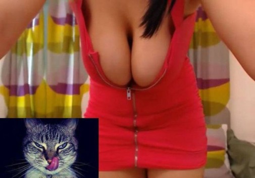 Hmm milk
