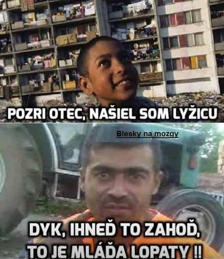 Príspevok 109716