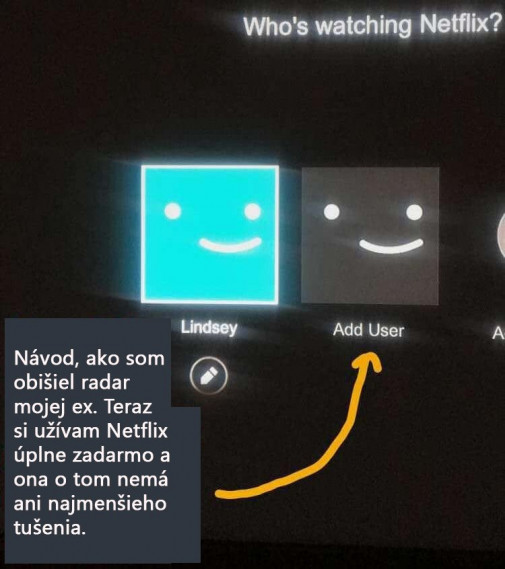 Príspevok 114356