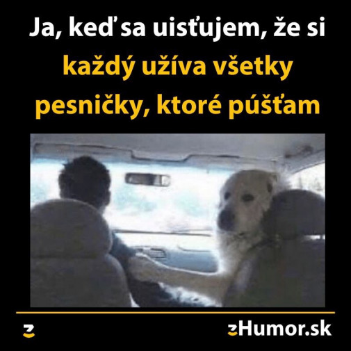 Príspevok 121717