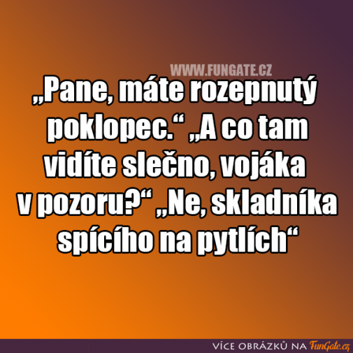 Príspevok 129047