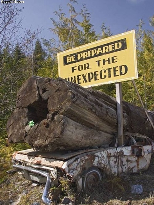 Príspevok 22977