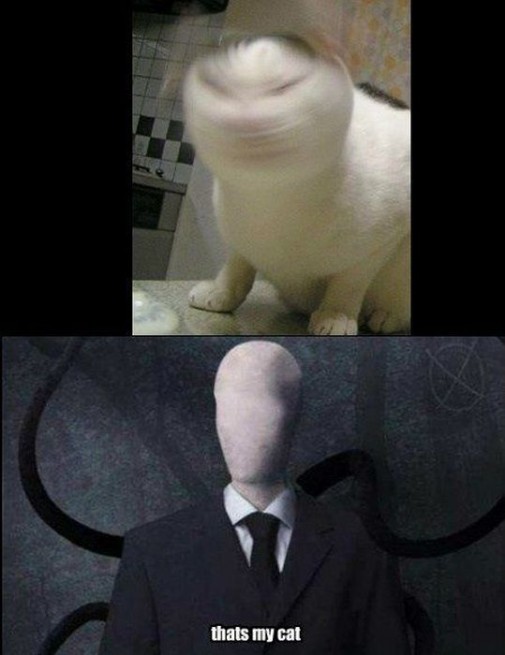 Príspevok 48287
