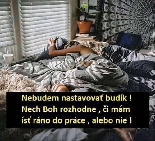 Príspevok 126228