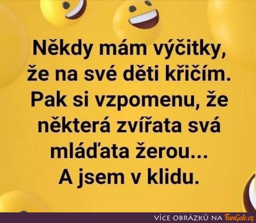 Príspevok 128278