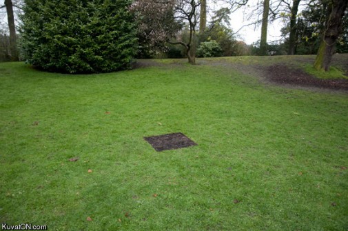 Dead pixel