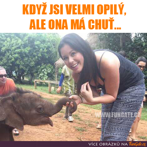 Príspevok 116129