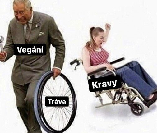 Príspevok 122699